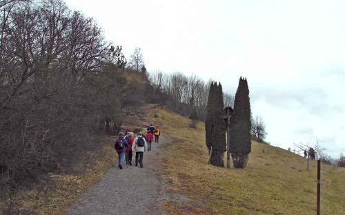 Wurmlinger-Kapelle-Wanderung: Albwandern