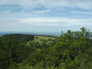 27-Goenningen-Rossberg