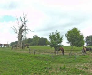 29-Marbach-Grafeneck-Wander