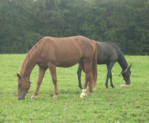 30-Marbach-Grafeneck-Wander