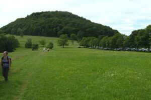 31-Goenningen-Rossberg