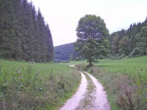 33-Marbach-Grafeneck-Wander