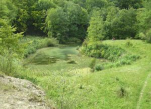 41-Goenningen-Rossberg