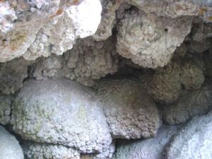 43-Goenningen-Rossberg