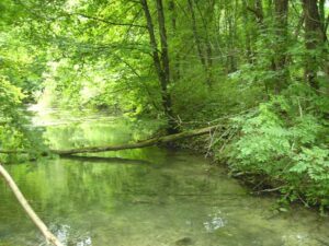 44-Goenningen-Rossberg