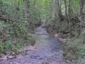 49-Goenningen-Rossberg