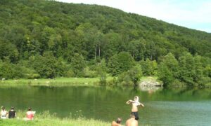 50-Goenningen-Rossberg