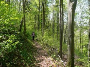 56-Haigerloch-Wanderung