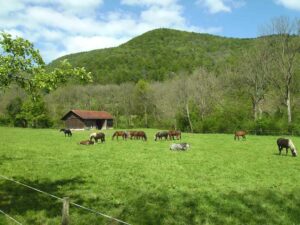 58-Urach-Wasserfall-Wanderu