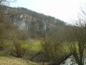 65-Lautertal-Maerzenbecher-