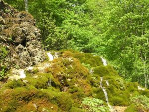 65-Urach-Wasserfall-Wanderu