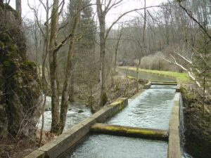 75-Lautertal-Maerzenbecher-