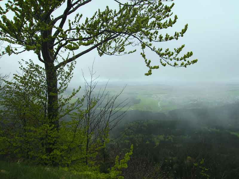 78-Plettenberg-Wanderung