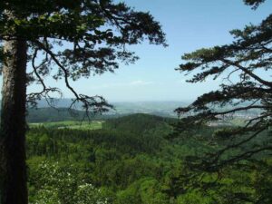 79-Bisingen-Irrenberg-Wanderung
