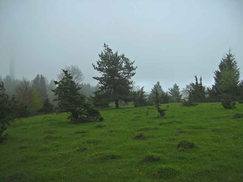 79-Plettenberg-Wanderung