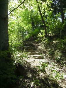 80-Bisingen-Irrenberg-Wanderung