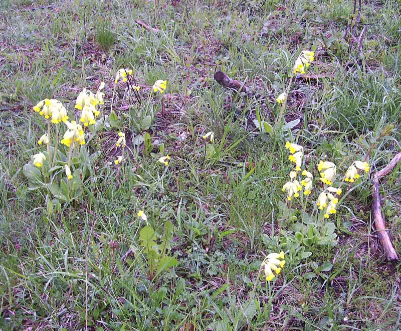 80-Plettenberg-Wanderung