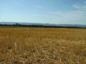 80-Schaichtal-Wanderung