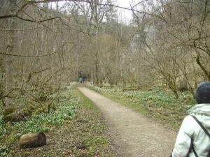 81-Lautertal-Maerzenbecher-