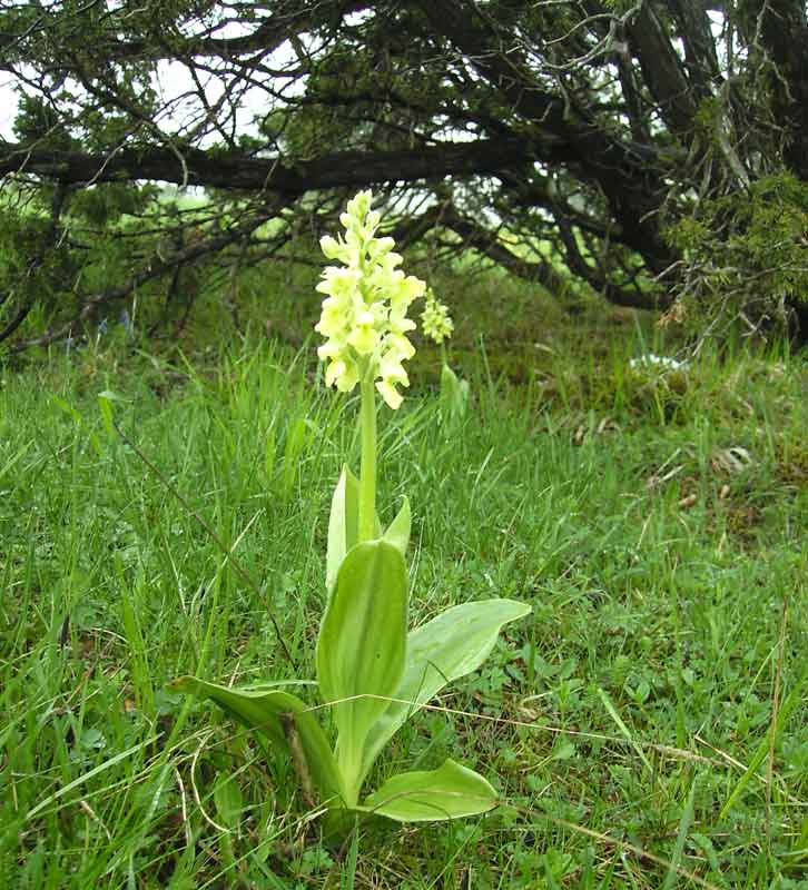 81-Plettenberg-Wanderung