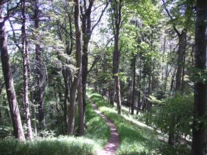 82-Bisingen-Irrenberg-Wanderung