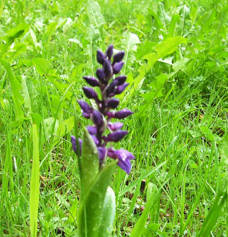 82-Plettenberg-Wanderung