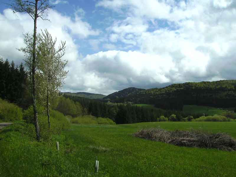 83-Plettenberg-Wanderung