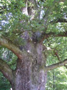 84-Schaichtal-Wanderung