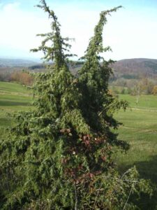 87-Dreifuerstenstein