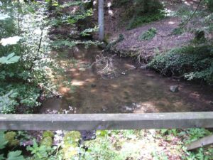 87-Schaichtal-Wanderung