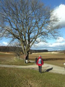 88-Erkenbrechtsweiler-Kelte