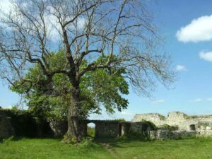 88-Urach-Wasserfall-Wanderu