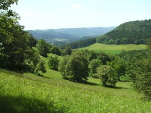 89-Bisingen-Irrenberg-Wanderung