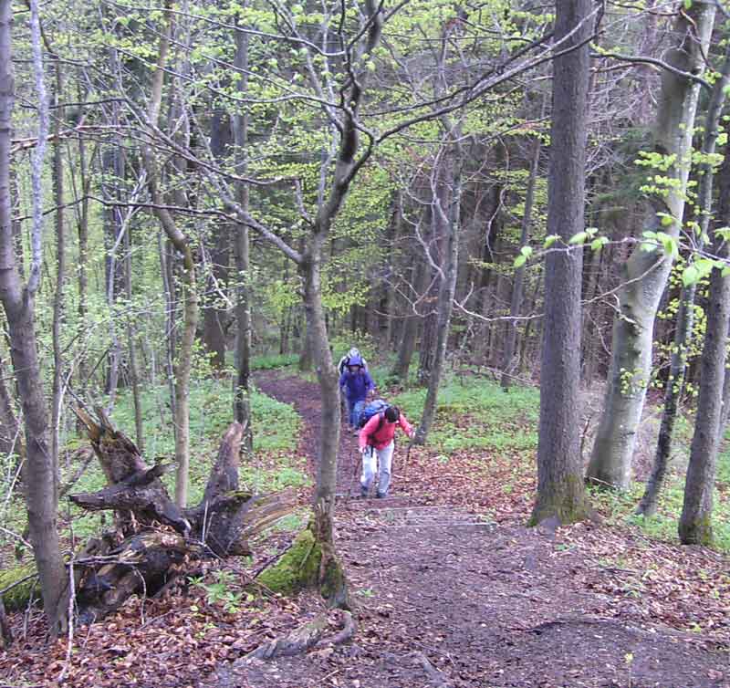 89-Plettenberg-Wanderung