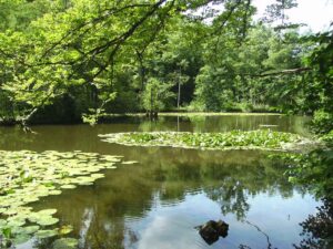 90-Schaichtal-Wanderung