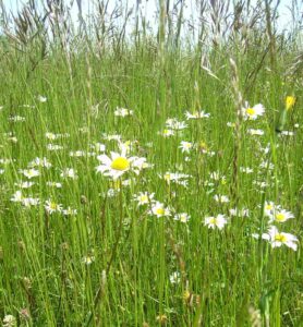 92-Bisingen-Irrenberg-Wanderung