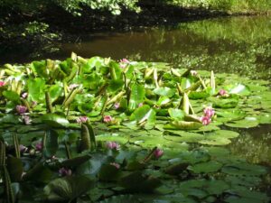 93-Schaichtal-Wanderung
