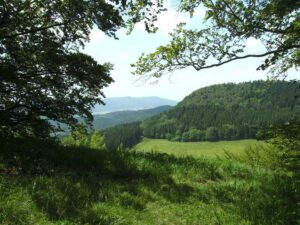 94-Bisingen-Irrenberg-Wanderung