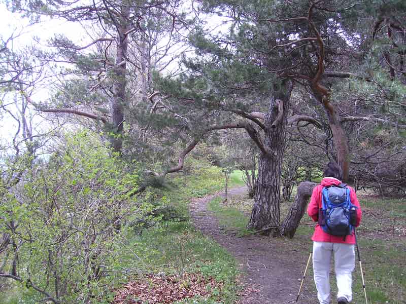 95-Plettenberg-Wanderung