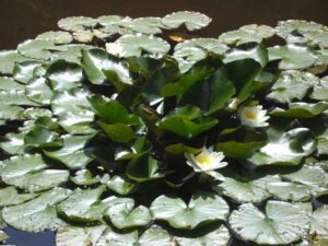 95-Schaichtal-Wanderung