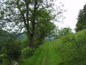 95-Unterhausen-Wanderung