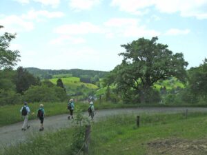 97-Bisingen-Irrenberg-Wanderung