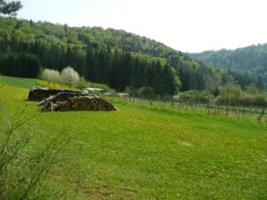 97-Haigerloch-Wanderung