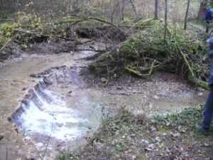 98-Dreifuerstenstein