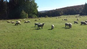 985-Hossinger_Leiter_Wandertour