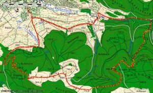 Oeschingen-Orchideen-Karte