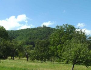 73_Wanderung_Beuren_Hohen-N