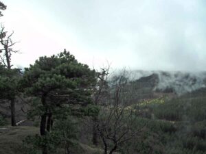 81-Lochen-Wandertour