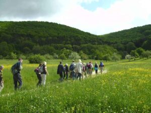 83-Gönningen-Nebelhöhle