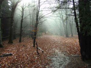 84-Lochen-Wandertour